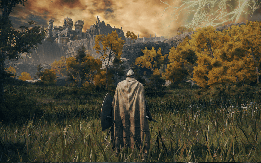 A screenshot from elden ring showing a knight in a forest with a sword and shield