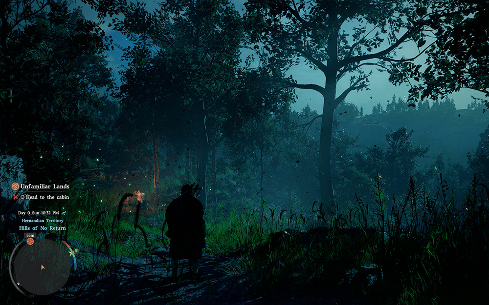 A Screenshot from Crimson Desert showing a dark forest with moonlight
